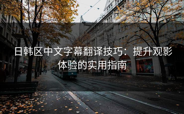 日韩区中文字幕翻译技巧：提升观影体验的实用指南