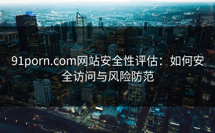 91porn.com网站安全性评估：如何安全访问与风险防范