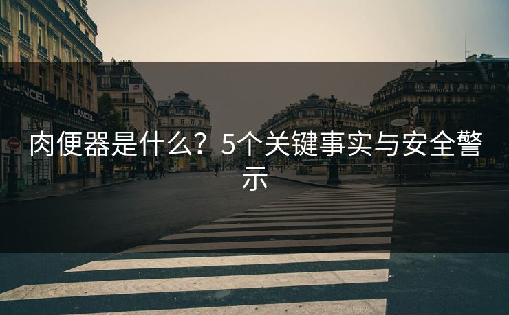 肉便器是什么？5个关键事实与安全警示