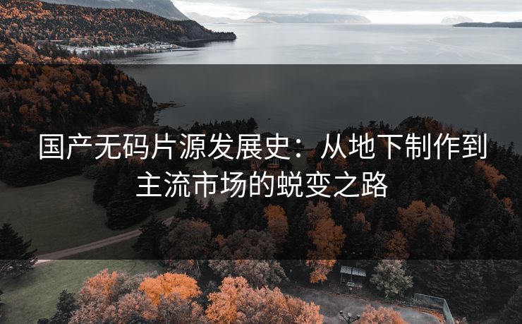 国产无码片源发展史：从地下制作到主流市场的蜕变之路