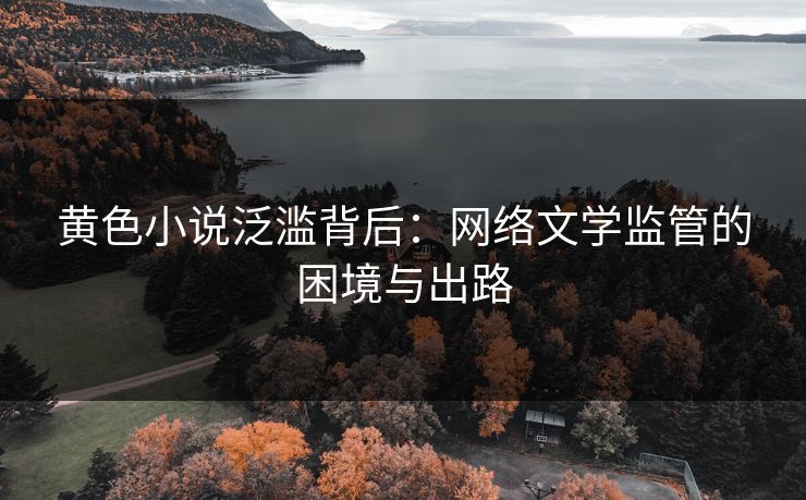 黄色小说泛滥背后：网络文学监管的困境与出路