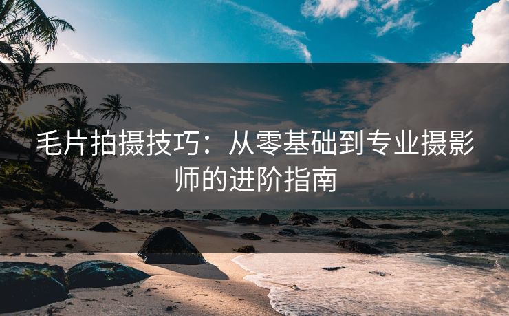 毛片拍摄技巧：从零基础到专业摄影师的进阶指南
